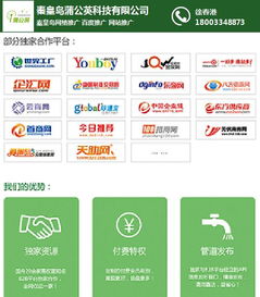 秦皇岛企业如何在蒲公英时代靠精准策划破圈