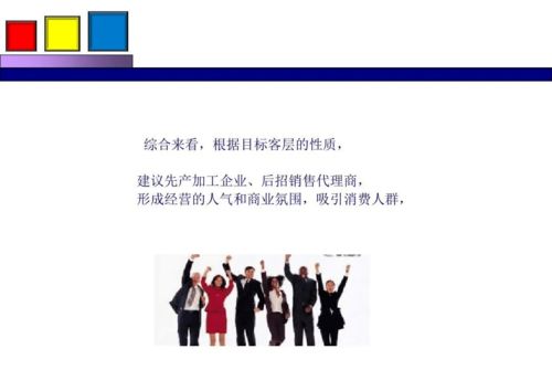 劲花项目营销策划方案分享